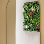 Cornelia Elegance House